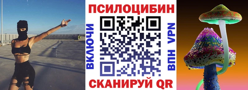 Галлюциногенные грибы Psilocybe  Малаховка 